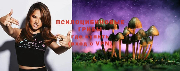 соль ск Бородино