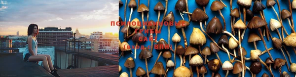 спайс Бугульма