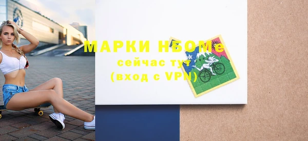 соль ск Бородино