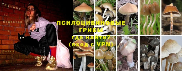 соль ск Бородино