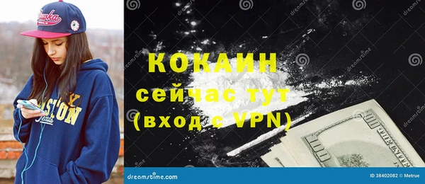 соль ск Бородино